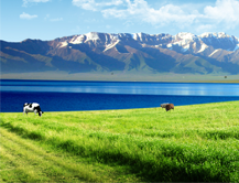 TMR攪拌機(jī) TMR攪拌機(jī)